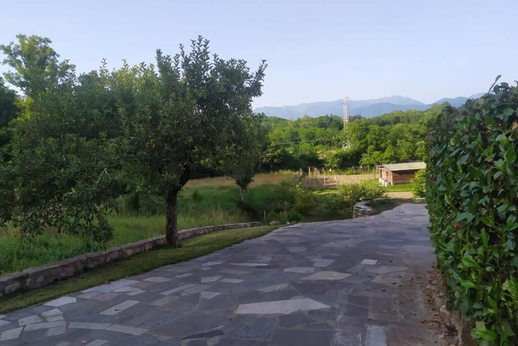 Appartamento Nel Verde Tra Cinque Terre E Versilia Barbarasco Екстер'єр фото